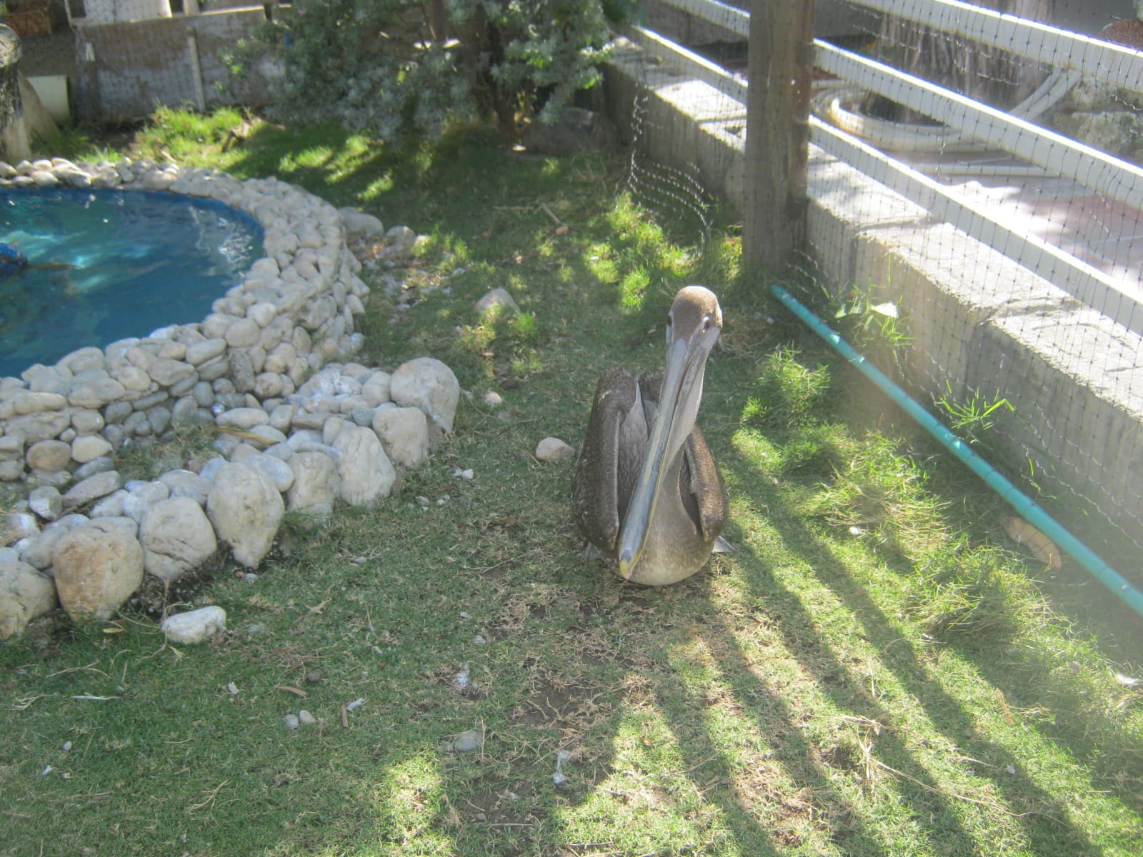 Pozos Colorados