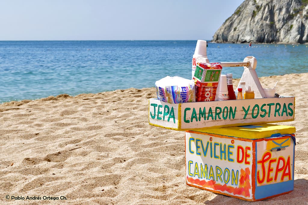 Ceviche de camaron