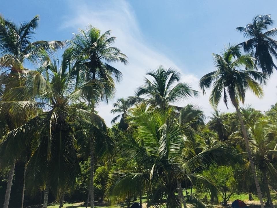 Qué Llevar
