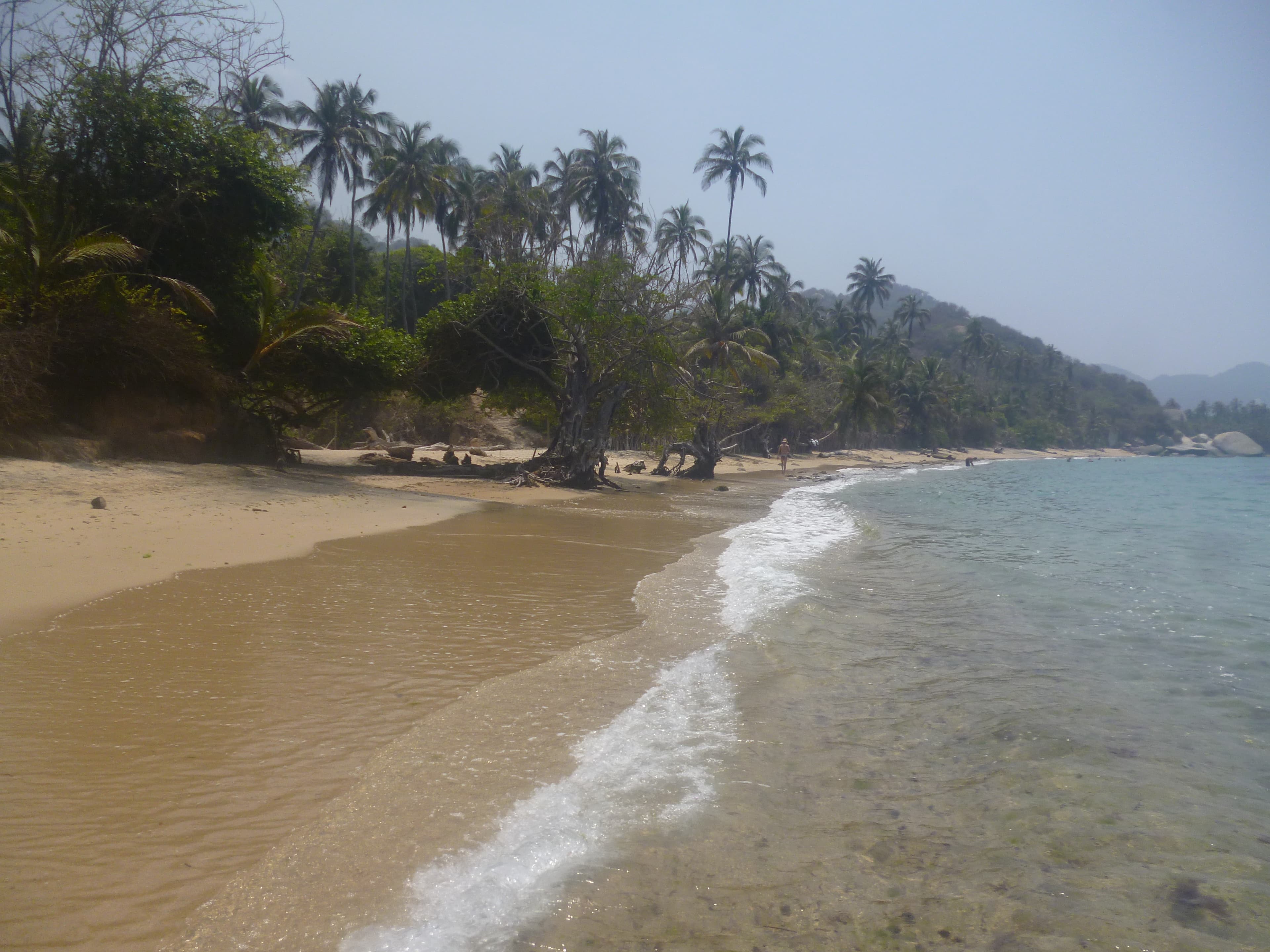 Tayrona