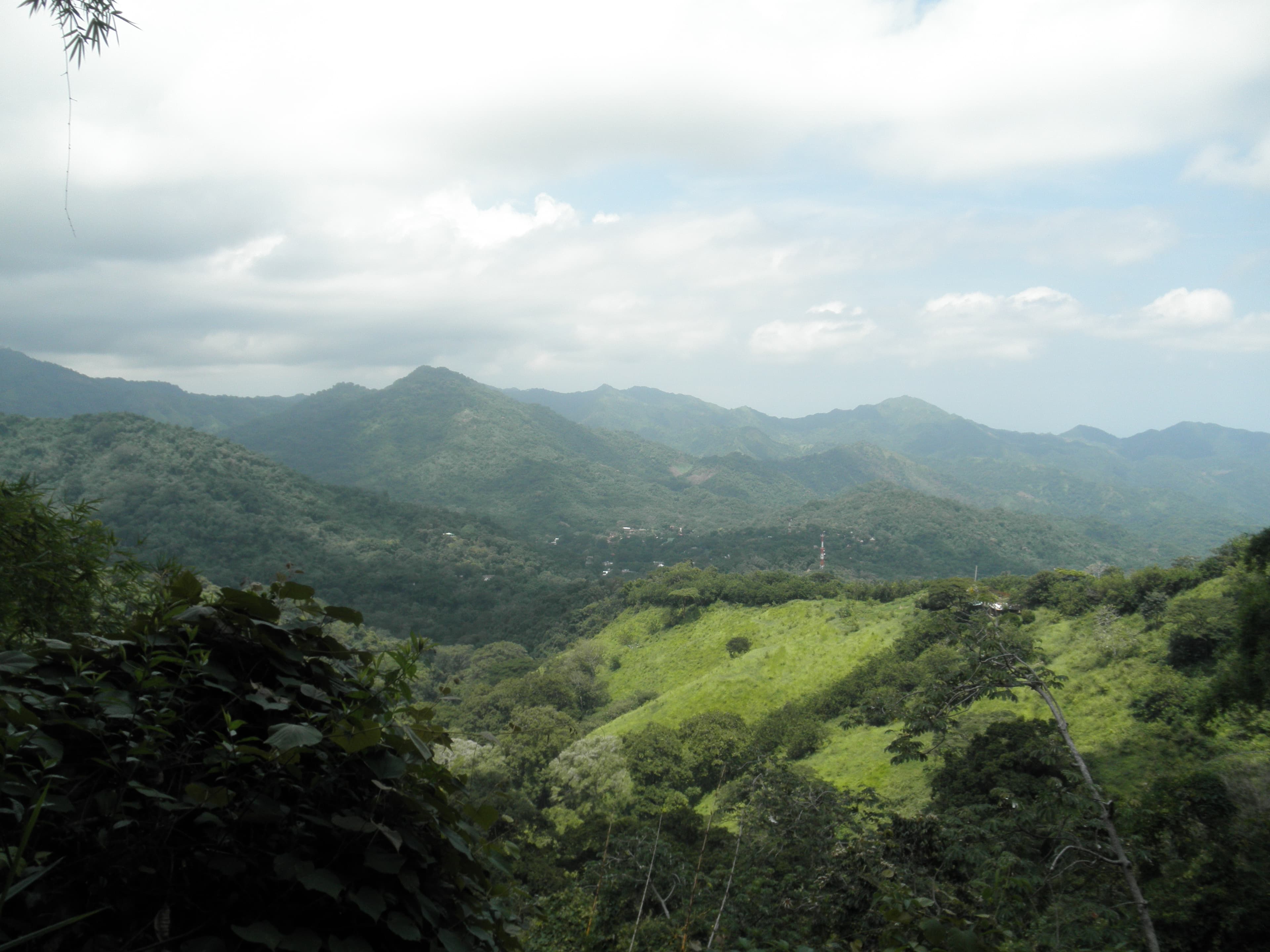 Tour de Observación de Aves en Minca