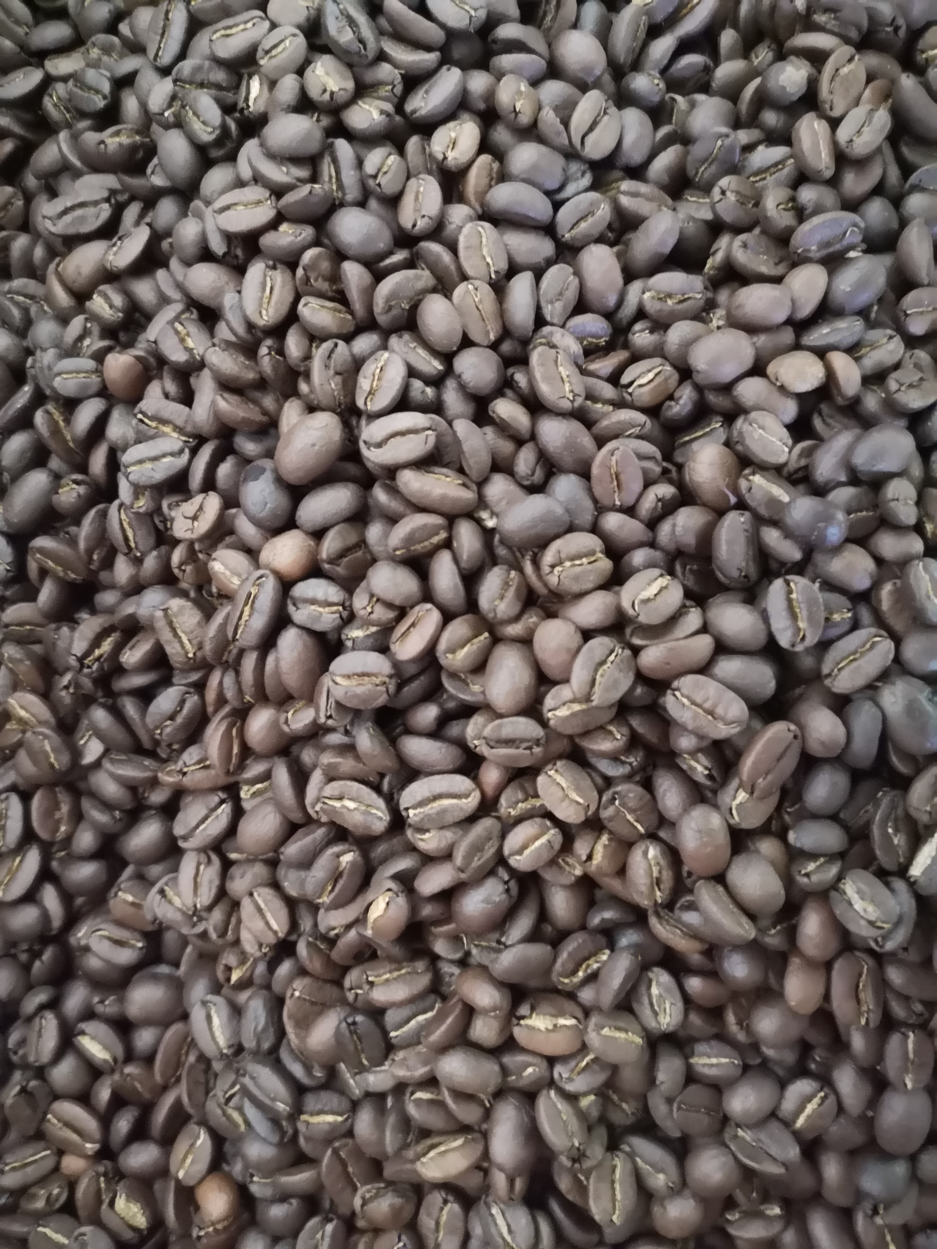 Excursión a Minca: Café y Naturaleza